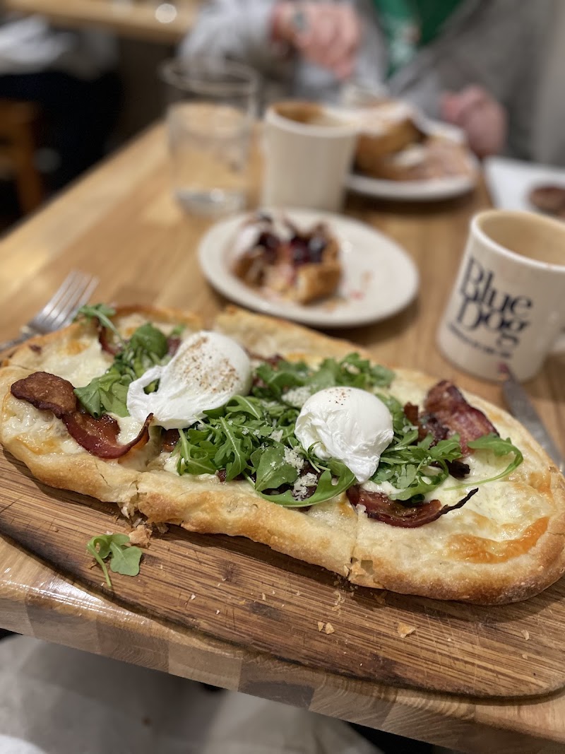 Blue Dog Bakery & Cafe photo 3