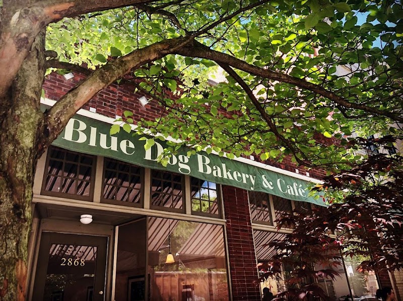 Blue Dog Bakery & Cafe photo 1