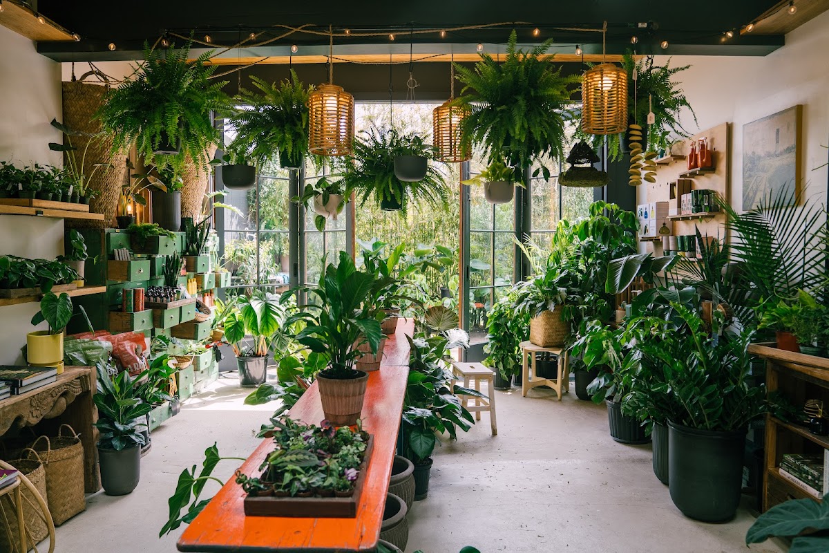 A Maker's Post photo 3