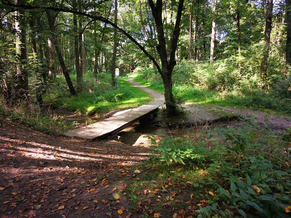 Witkowice Park fotoğraf 1