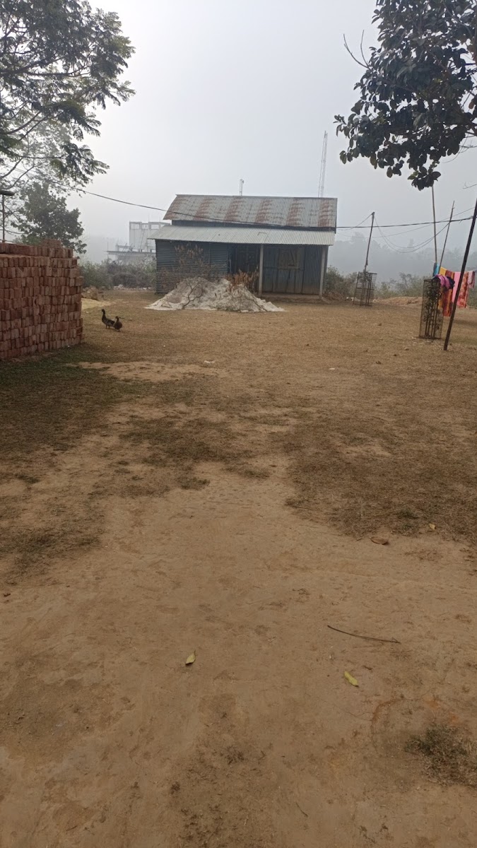 Shramajibi Colony Kali Mandir photo 4