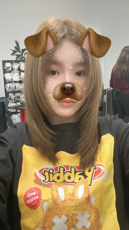 Hollywood Unisex Hair Studio photo 1