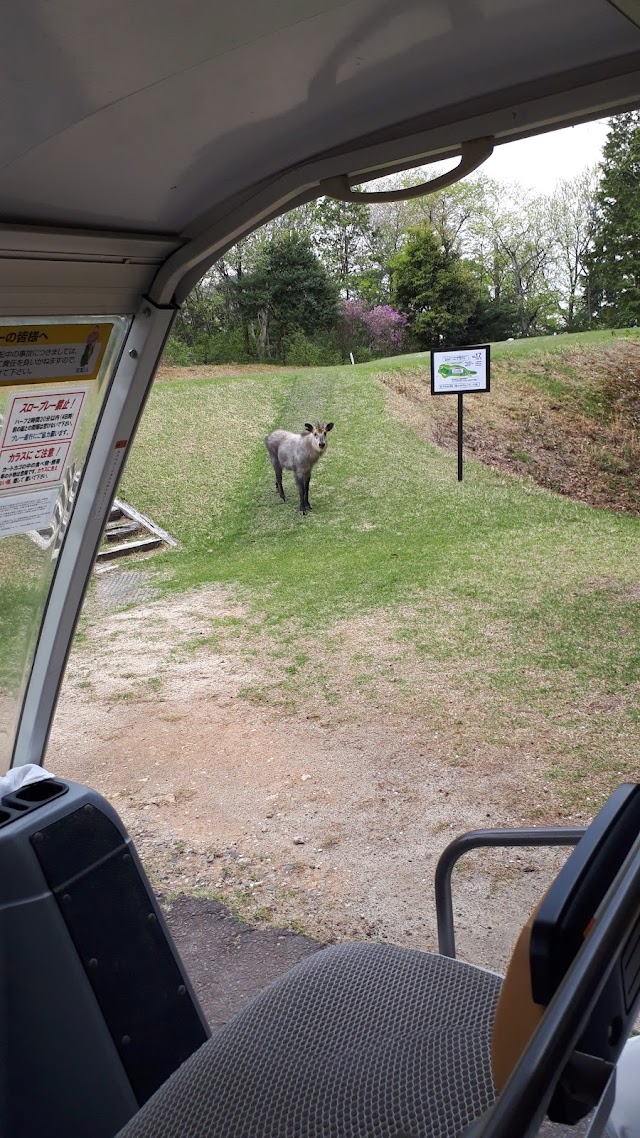 Gifu Spring Golf Club - Photo 7