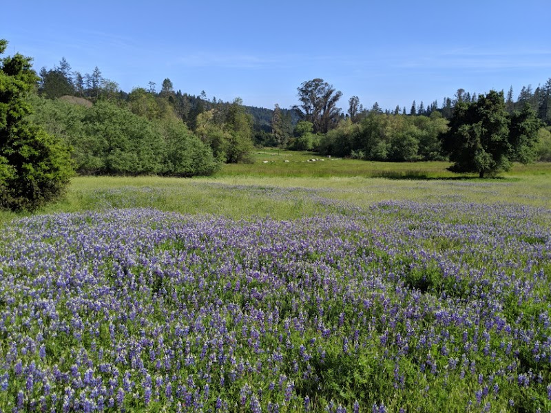 Quail Hollow Ranch County Park