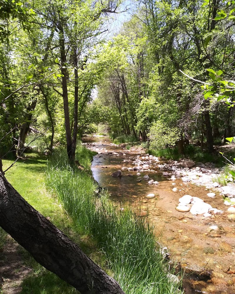 Haigler Creek Lodge - Photo 4