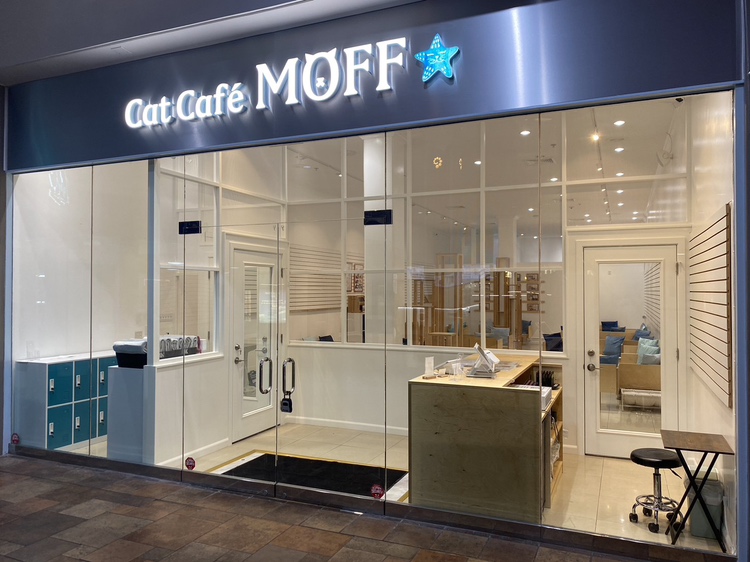 Cat Café MOFF Pearlridge Center
