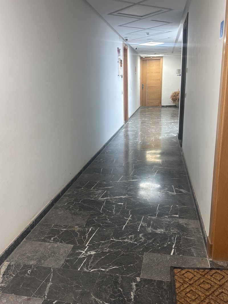 Gallery 3