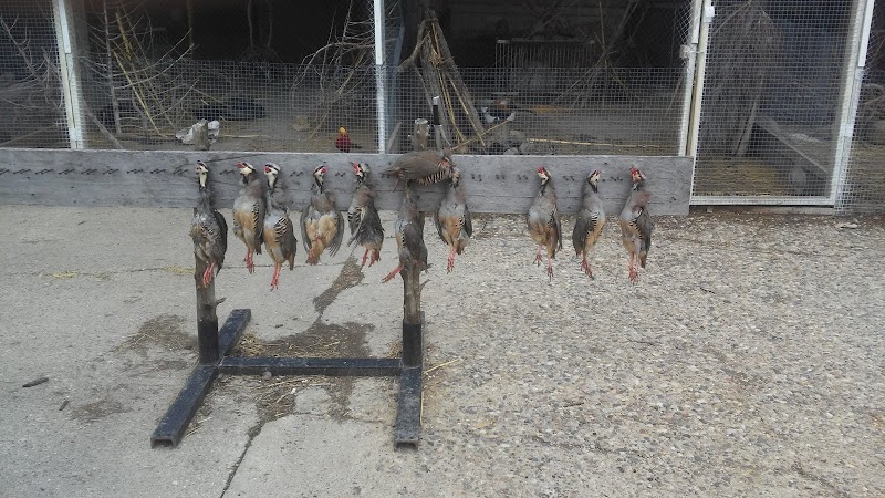 Bensink Farms Hunting Preserve - Photo 4