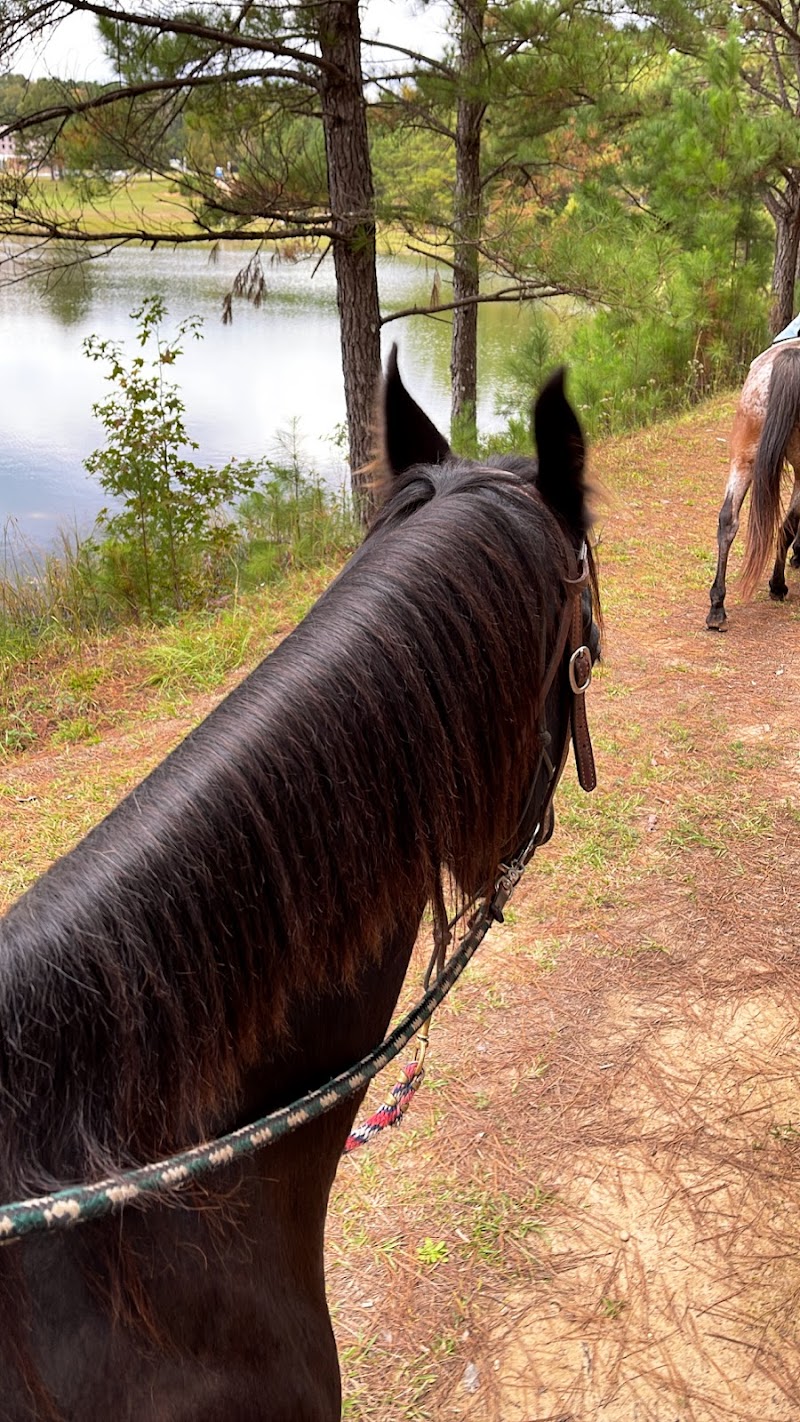 Rolling Hills Horse Ranch - Photo 6