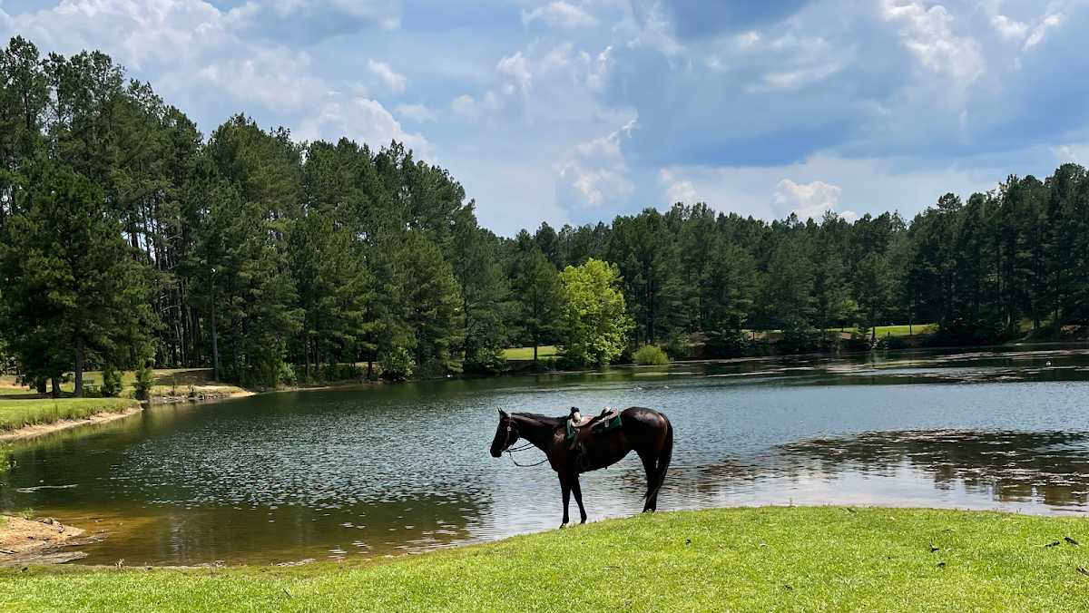 Rolling Hills Horse Ranch