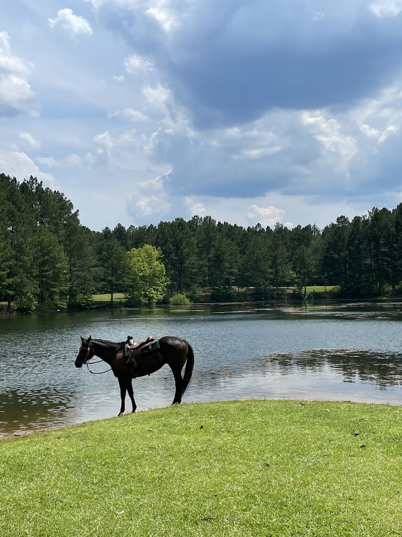 Rolling Hills Horse Ranch - Photo 2