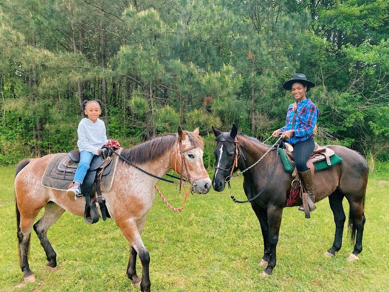 Rolling Hills Horse Ranch - Photo 1
