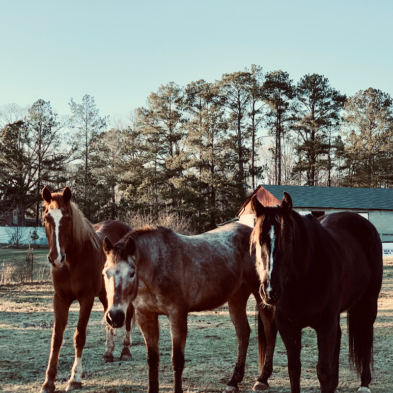 Rolling Hills Horse Ranch - Photo 3
