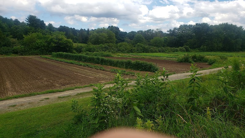 Mass Audubon's Drumlin Farm - Photo 5