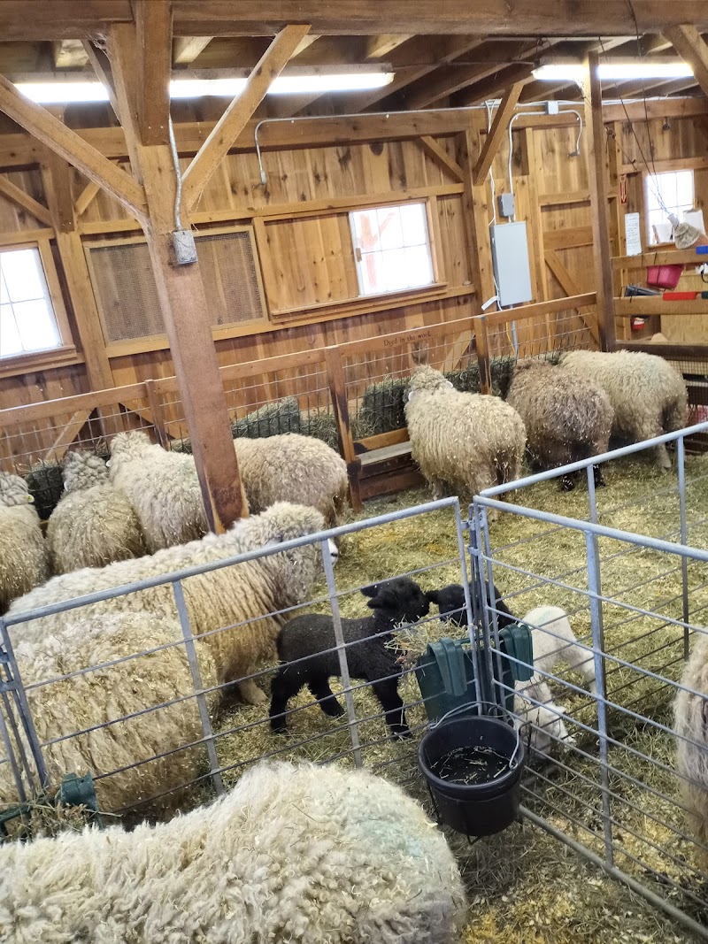 Mass Audubon's Drumlin Farm - Photo 3
