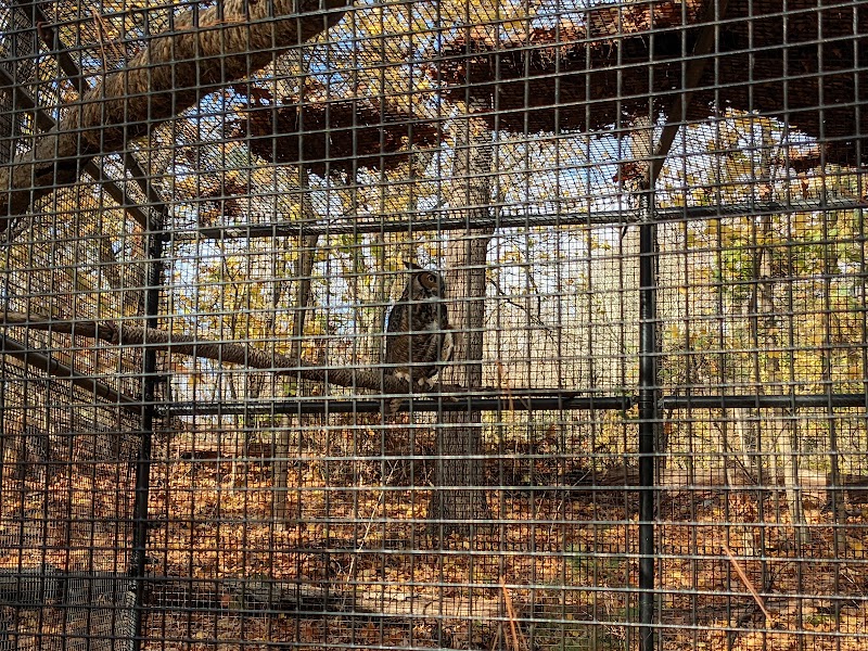 Mass Audubon's Drumlin Farm - Photo 4