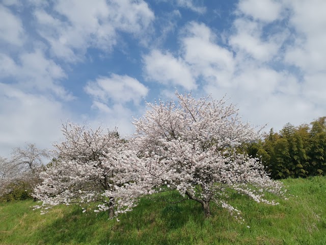 Gifu Hashima Golf Club - Photo 5