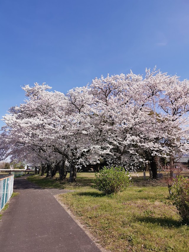 Gifu Hashima Golf Club - Photo 8