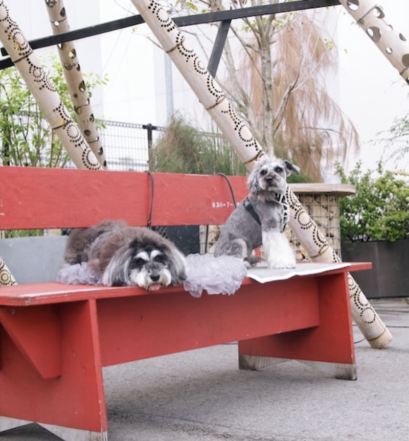 SLOW ART CENTER NAGOYA