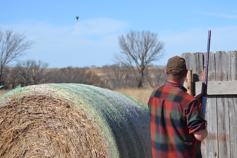 Bluestem Hunting - Photo 4