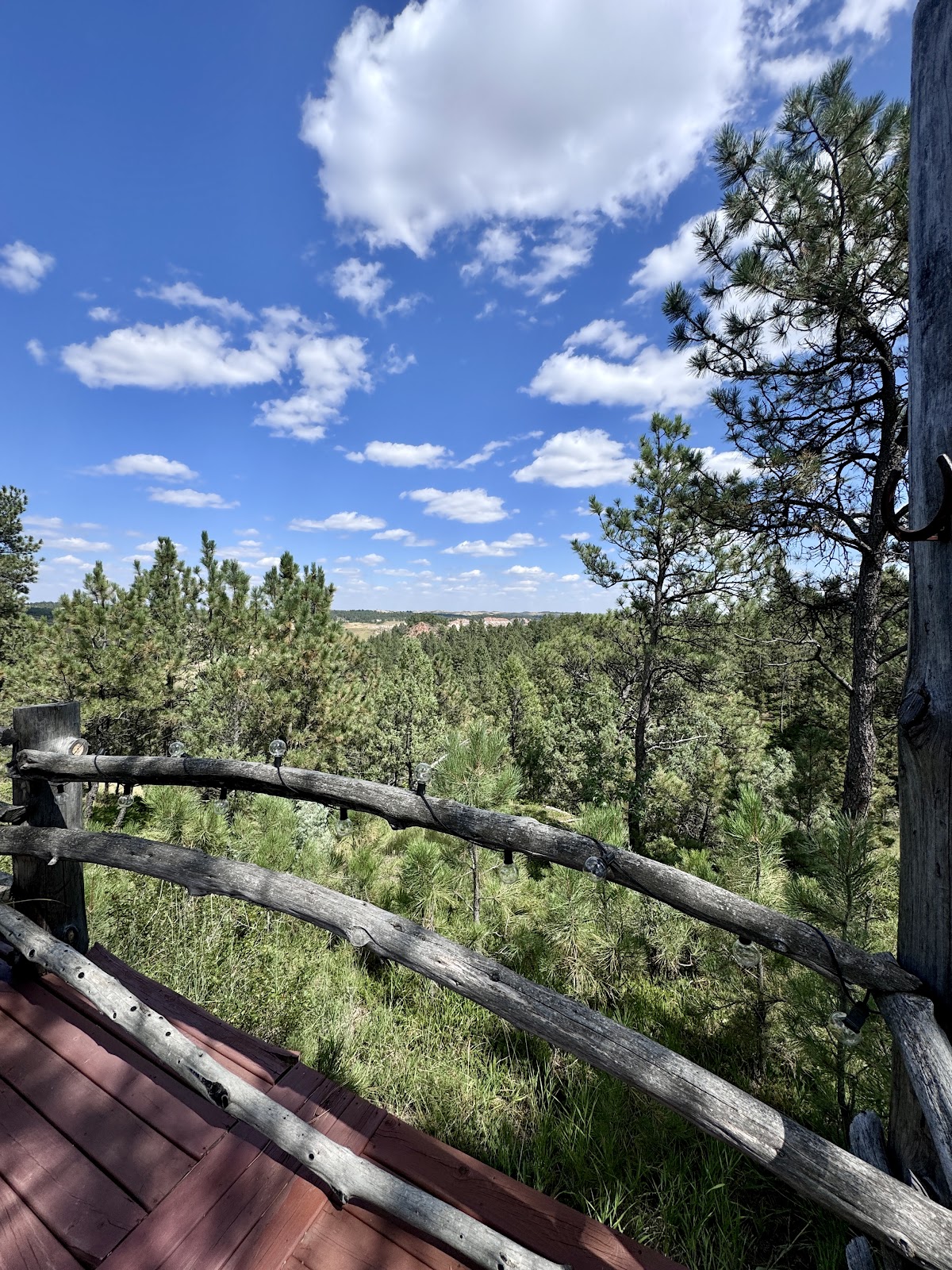 Logging Camp Ranch Resort