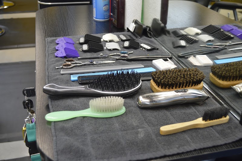 All Starz Barber Shop Spring Hill