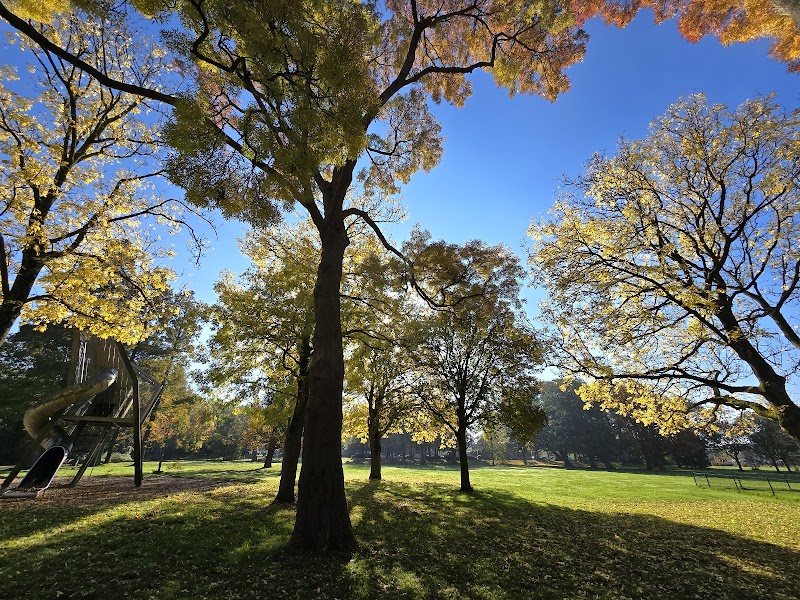 Volmerlaan park