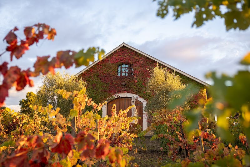 Gamba Vineyards and Winery