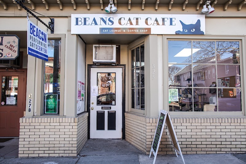 Beans Cat Cafe
