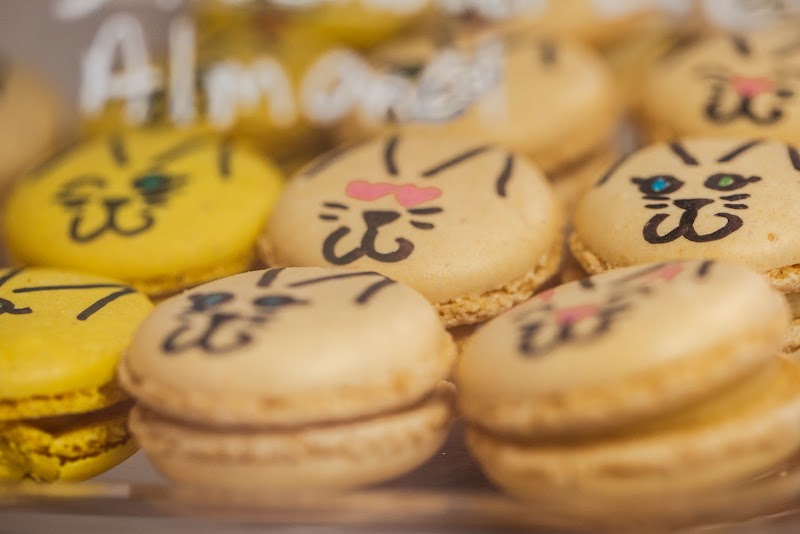 Beans Cat Cafe photo 2