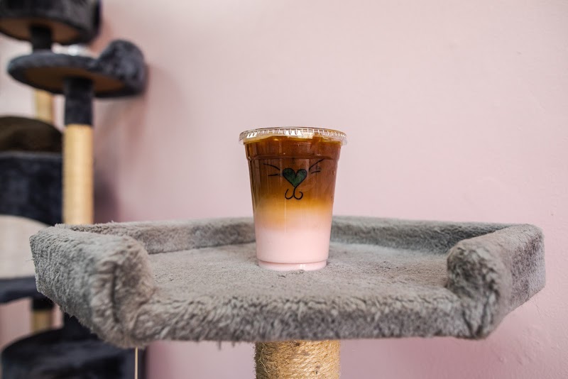 Beans Cat Cafe photo 2