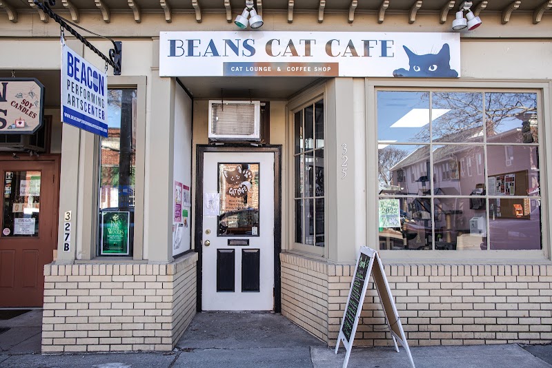 Beans Cat Cafe photo 1