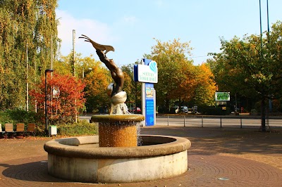 Vonderort Sauna I Wellness I Freibad