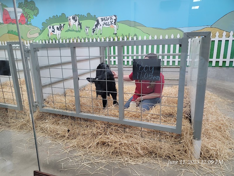 Fair Oaks Farms photo 4