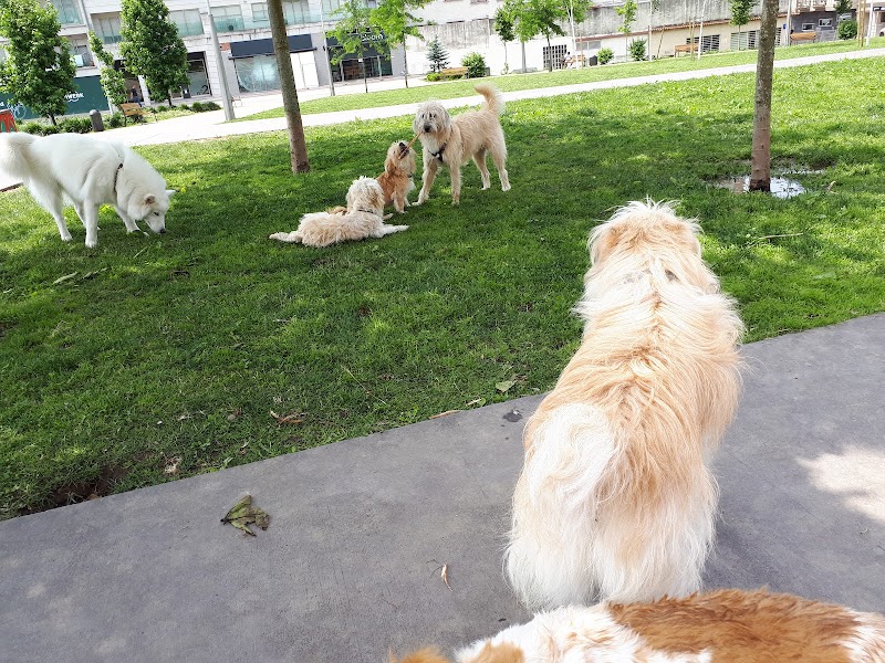 Clínica Veterinaria Anida photo 2