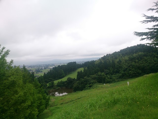 Tonami Royal Golf Club - Photo 6