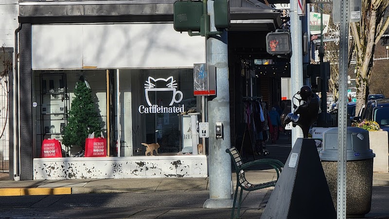 Catffeinated photo 1