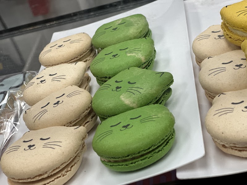 Catffeinated photo 2