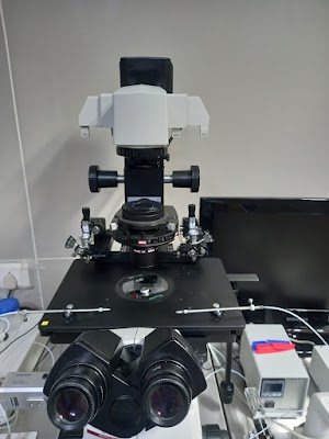 Dr. Hari's Fertility Clinic - Image 2