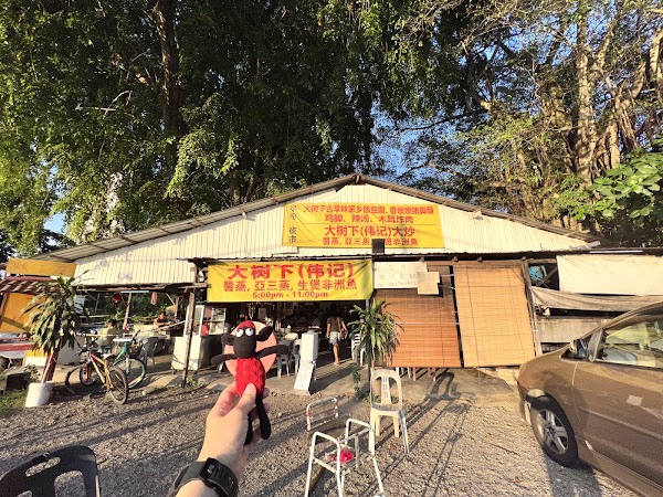 大树下（伟记）大炒