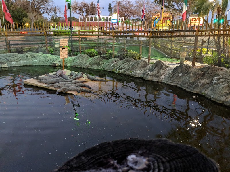 Smugglers Cove Adventure Golf — Miniature Golf Course in Sarasota