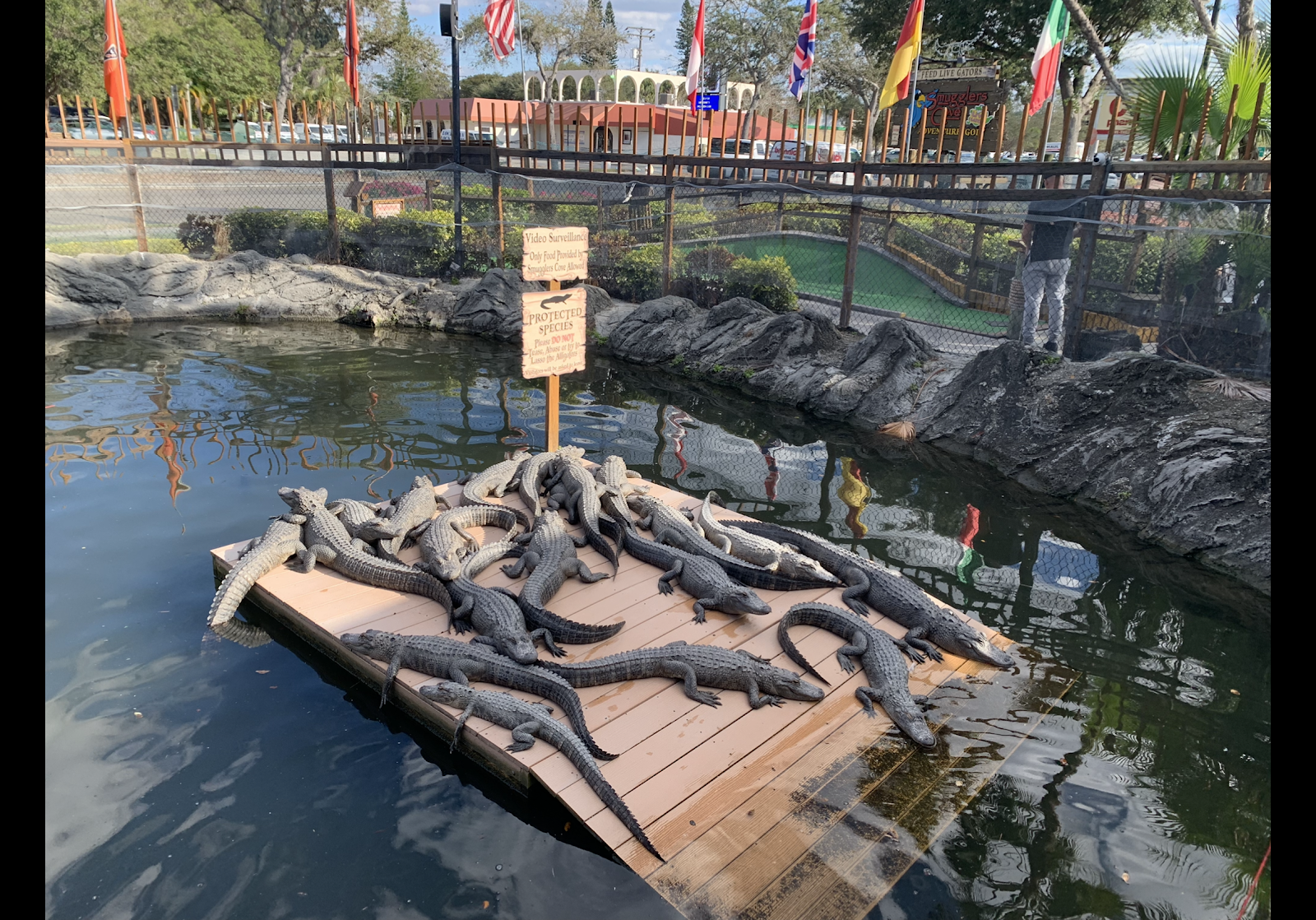 Smugglers Cove Adventure Golf