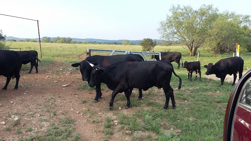 Three Springs Horse Ranch - Photo 4