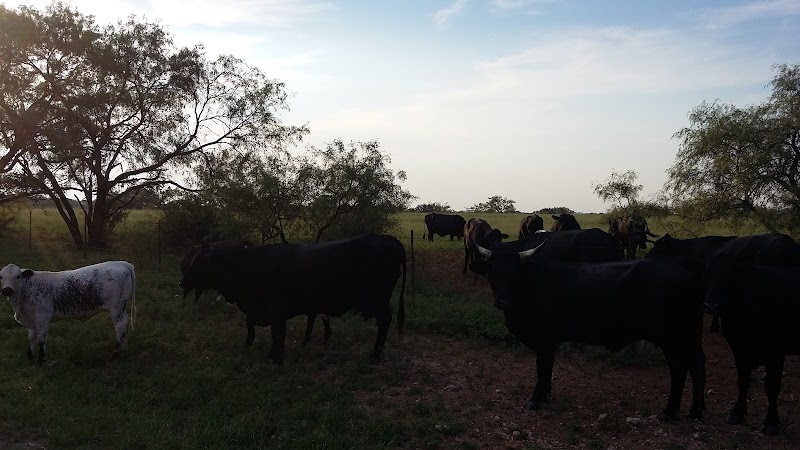 Three Springs Horse Ranch - Photo 3