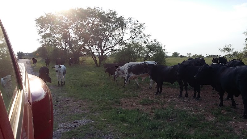 Three Springs Horse Ranch - Photo 2