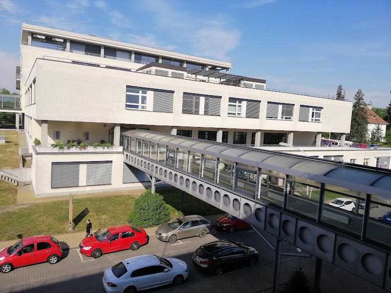 Gallery 2
