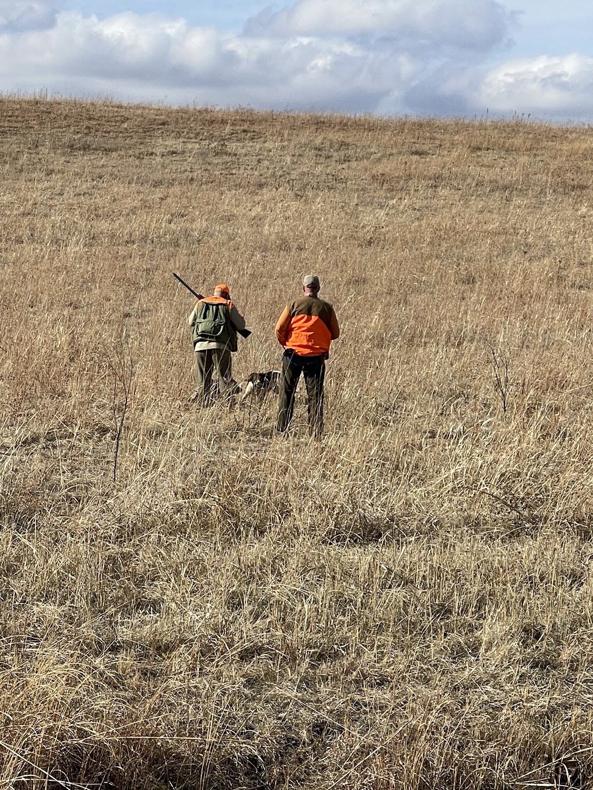 Muddy Creek Game Birds