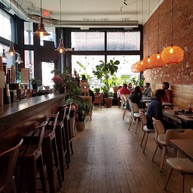 Barista's Downtown photo 1