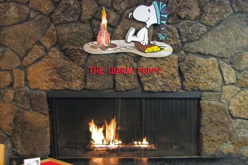 The Warm Puppy Café photo 3