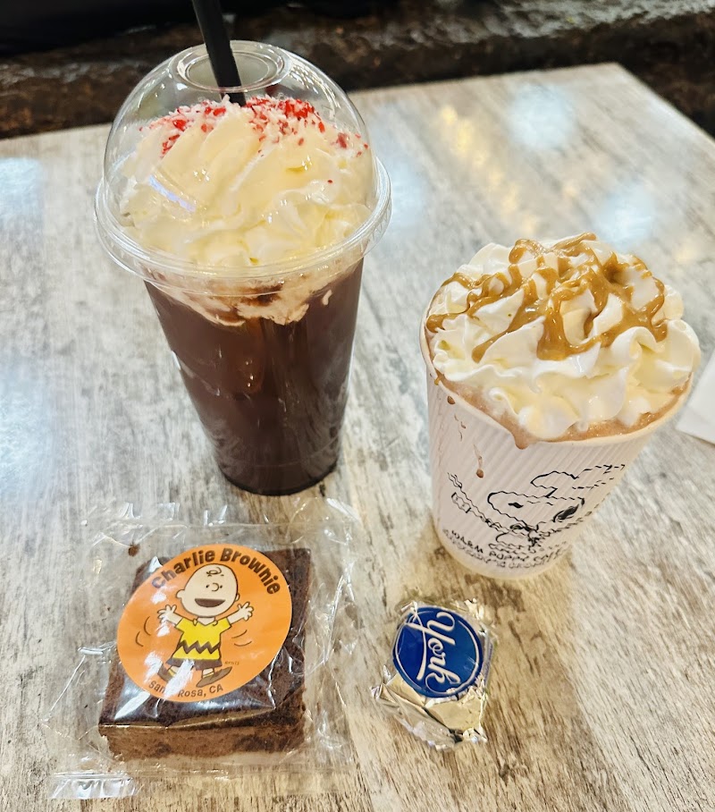 The Warm Puppy Café photo 3